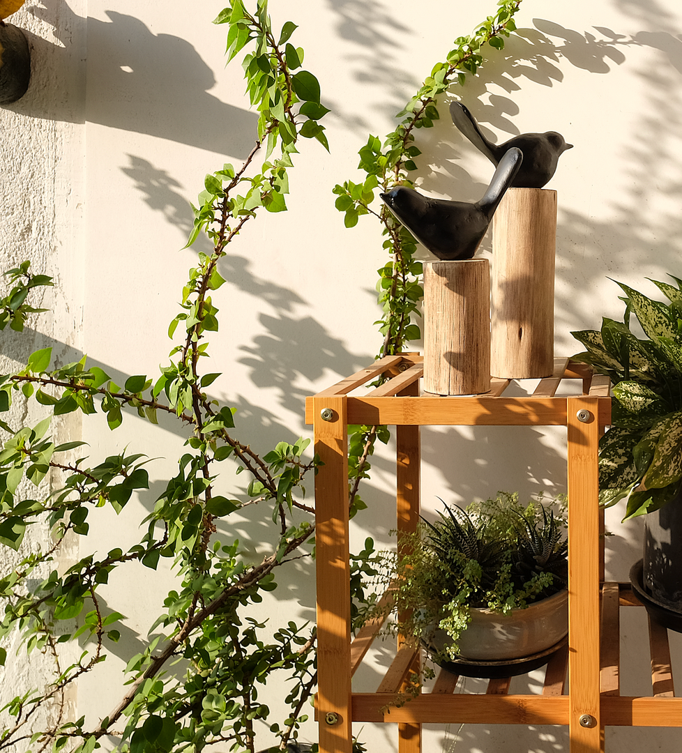 Perch Pair , Decorative Bird Sculptures